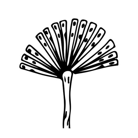 Dandelion seed icon abstract. hand drawn botanical illustration Clipart. Dandelion on a white background. vectorのイラスト素材