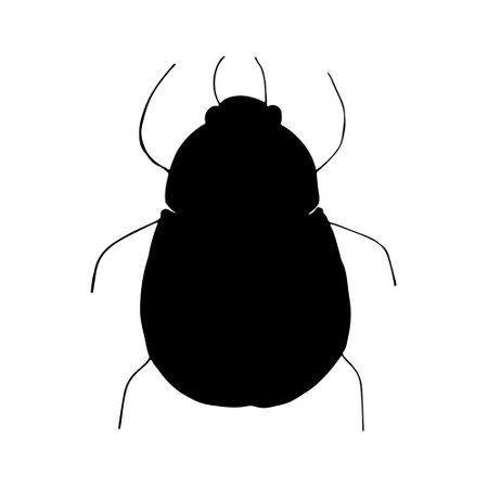 scarab beetle exquisite bright hand-drawn. Fairy Beetle. Doodle. Vector.のイラスト素材