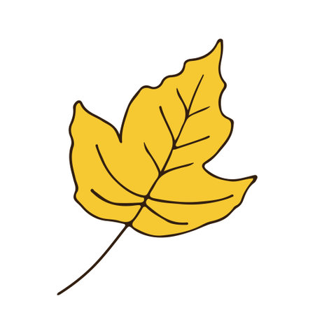 autumn leaf line sketch. nature. color vector illustrationのイラスト素材