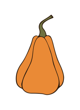 Pumpkin Orange. Autumn halloween pumpkin, vegetable graphic icon or print. isolated on a white background. flat design style. clipart. vectorのイラスト素材