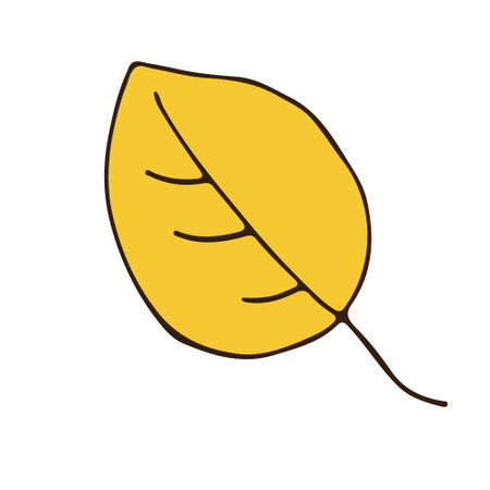 autumn leaf line sketch. nature. color vector illustrationのイラスト素材