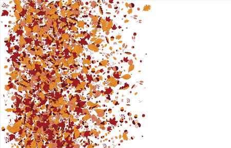 Square frame Background material designed with autumn leaves, branches, berries, fruits, mushroom. Vectorのイラスト素材