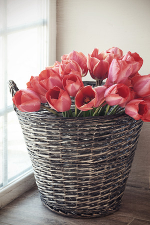 Vintage rustic photo of bouquet of spring tulips in a wicker basket on floorの写真素材
