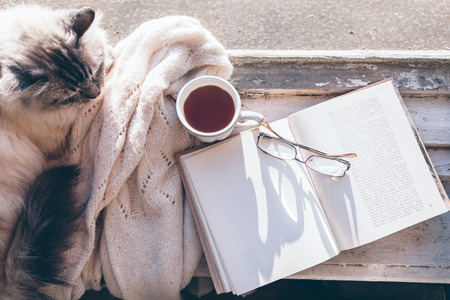 Cats sleeps in warm sunlight on window sill by opened book, cup of tea or coffee, glasses and knitted sweater. Cozy spring weekend concept, top view from above. The text on page is not recognizable.の写真素材