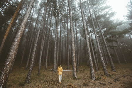 Woman hiker standing in forest in national park, back view