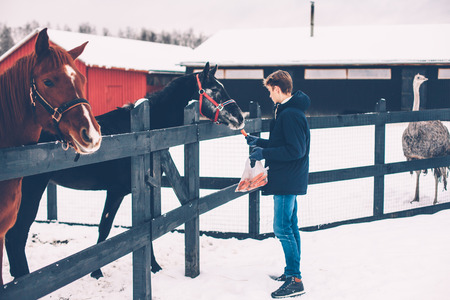 Photo of teenage boy feeding a horse on the ranch in cold snowy day. Winter trip to countryside.の写真素材
