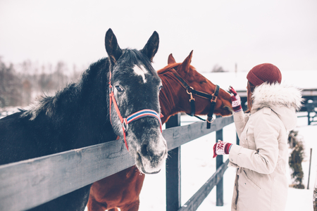 Photo of teenage girl touching a horse on the ranch in cold snowy day. Healthy winter vacations in countryside.の写真素材