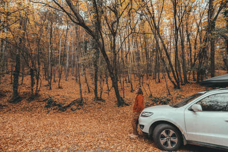 Man driving car in the forest following road way among autumn woodsの写真素材