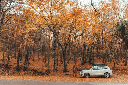 Man driving car in the forest following road way among autumn woodsの写真素材