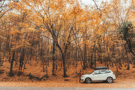 Man driving car in the forest following road way among autumn woodsの写真素材