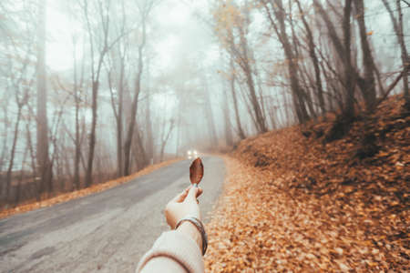 POV of woman's hand holding fall leaf over road in magic forest one foggy autumn dayの写真素材