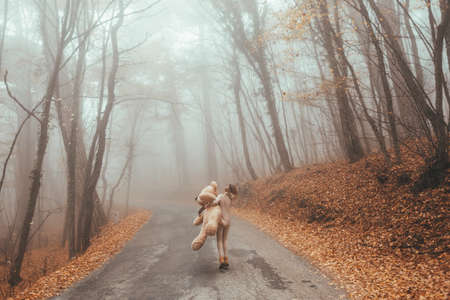 Woman with big plush teddy bear toy walking away on road in magic forest one foggy autumn dayの写真素材