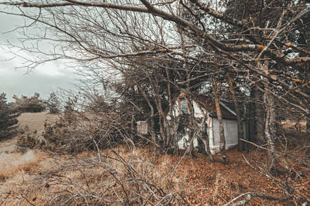 Tiny old hunter's getaway cabin in woodsの写真素材