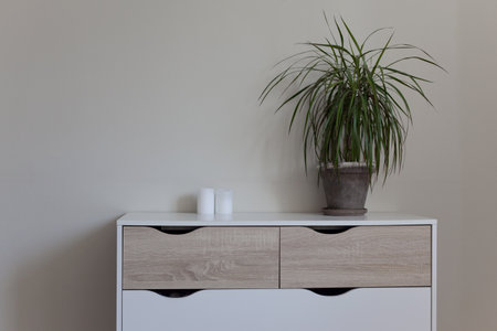 Modern nordic style dresser with flower pot on it in front of clean wall, minimalist scandinavian interior designの写真素材
