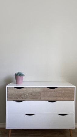 Modern nordic style dresser with flower pot on it in front of clean wall, minimalist scandinavian interior designの写真素材