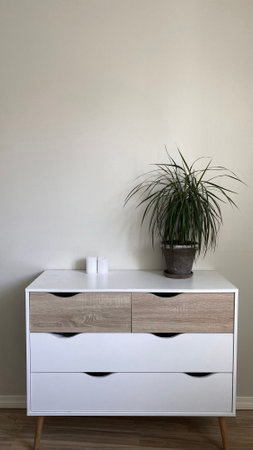 Modern nordic style dresser with flower pot on it in front of clean wall, minimalist scandinavian interior designの写真素材