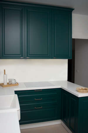 A dark green kitchen in modernists style