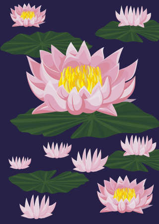 Lotuses with leafs on dark blue backgroundのイラスト素材