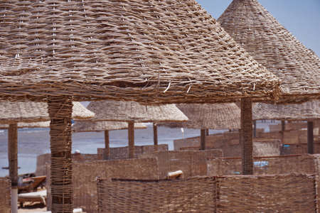 Sunny beach with palm trees and wicker from reeds beach umbrellas on a background of calm seaの写真素材