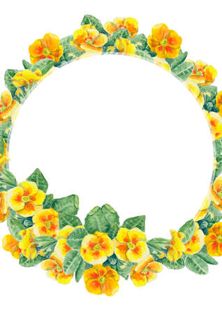 Wreath frame of yellow primrose flowers. Hand painted botanical floral illustration. Can be used for printing greetings, poster, invite, wedding stationary.の写真素材