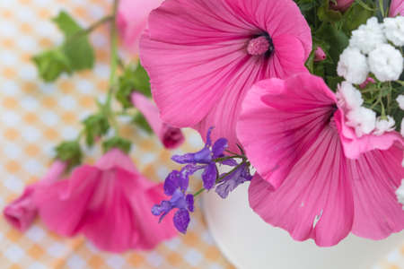 two rose flowers in the vase