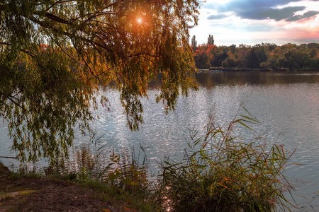 Evening landscape with a lake, trees and sun glare. Sunset above lake.