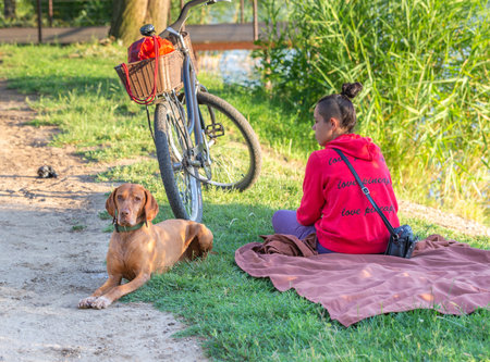 Nyiregyhaza, Hungary â June 29, 2019: Young modern girl with Magyar Vizsla dog relaxing on the lake. Bicycle stands on the grassのeditorial素材