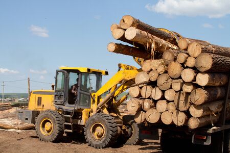 Forklift unloads logsのeditorial素材