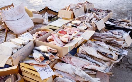 Selling fish on the streets of the city of Samara and price tags in Russianの写真素材