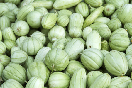 Carriage with acorn squashの写真素材