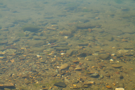Stones under a layer of transparent Baikal water