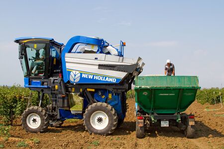 GARKUSCHA, RUSSIA - AUGUST 18: Grape harvesting using harvester on August 18, 2015 in Garkuscha.のeditorial素材