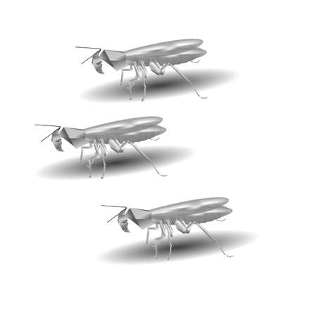 robots spies in the form of cockroachesのイラスト素材
