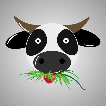 stoned cowのイラスト素材