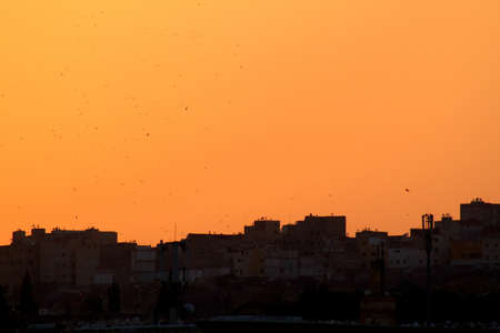 Sunset in Fes, Moroccoの写真素材