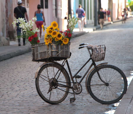 Selling flowers in Camaguey, Cubaの写真素材