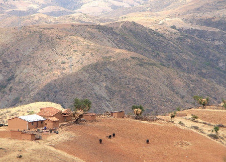 Living in the bolivian altiplano, Bolivia.の写真素材
