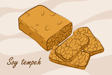 Soy tempeh illustration in vector designのイラスト素材