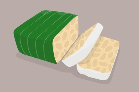 Soy tempeh illustration in vector designのイラスト素材