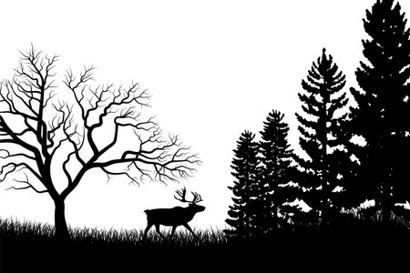 Tree silhouette background with tall and small trees. Forest silhouette illustration.のイラスト素材