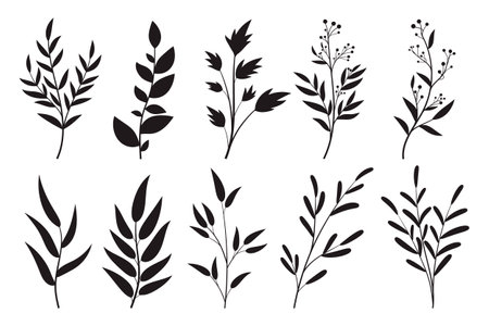 Black botanical leaf silhouettes collection vectorのイラスト素材