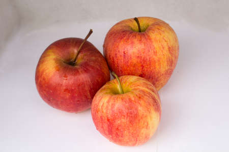 three biological apples royal typeの写真素材