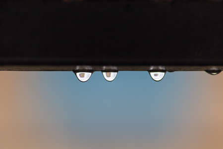 water dropsの写真素材