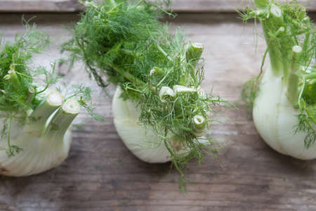 fennelの写真素材