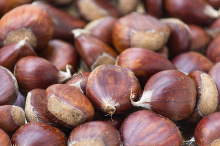 chest nuts backgroundの写真素材