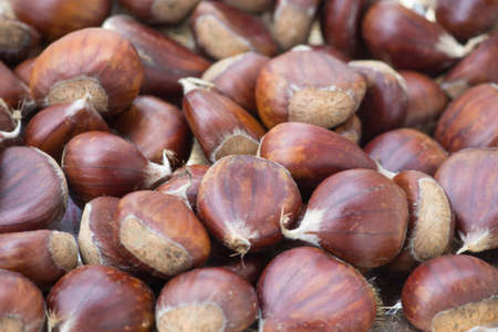 chest nuts backgroundの写真素材