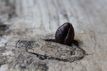 coffee bean detailの写真素材