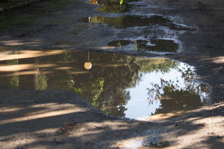 Reflection in puddleの写真素材
