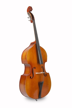 bass on a white background, standingの写真素材