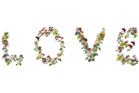 collage with floral imagesの写真素材